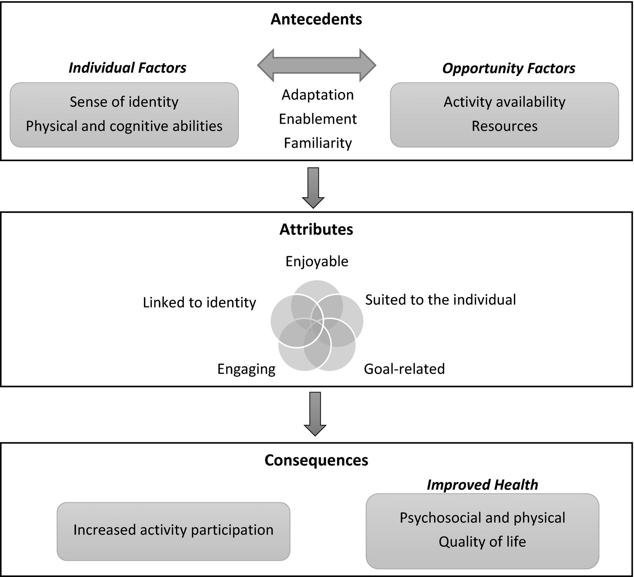 About Meaningful Lifestyle Activities | ARIIA